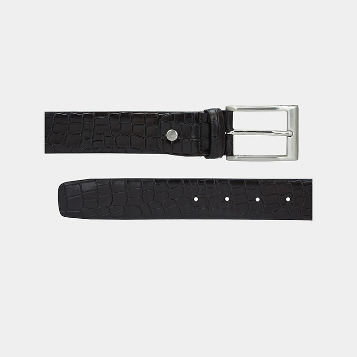 Dylan Mens Wallet & Belt Gift Set